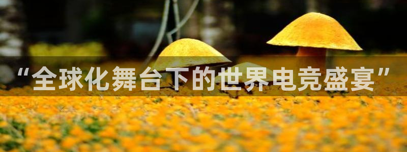 leyu电竞电竞登录网页入口全新版：“全