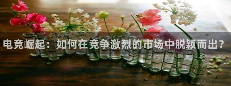 leyu电竞电竞比分：电竞崛起：如何在竞