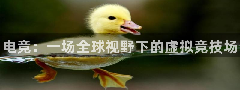 leyu电竞电竞综合体昆明