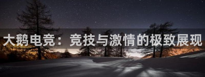 leyu电竞电竞app最新版：大鹅电竞：