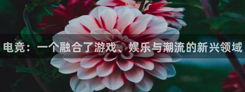 leyu电竞电竞和泛亚电竞哪个好：电竞：