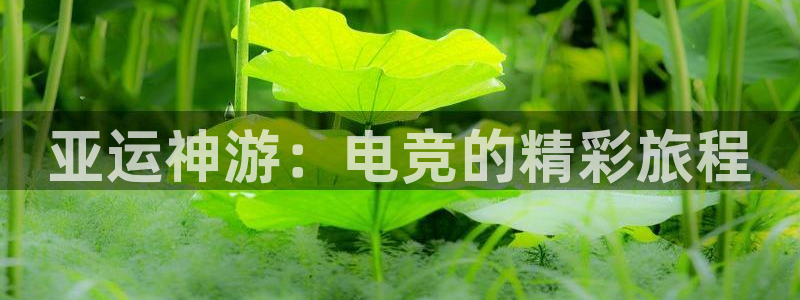 leyu电竞电竞头号玩家电竞馆