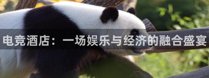 leyu电竞电竞官网平台：电竞酒店：一场