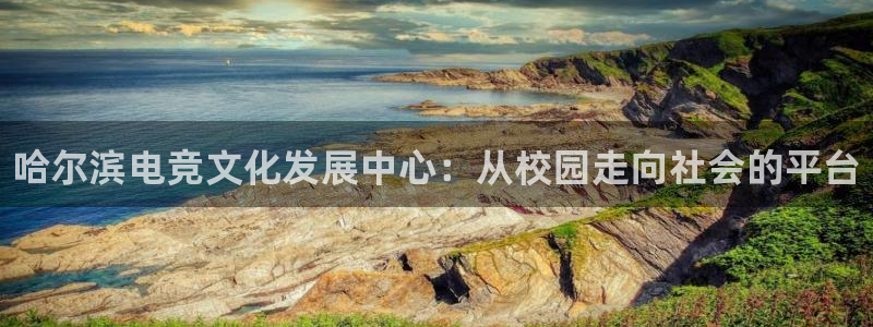 leyu电竞电竞俱乐部：哈尔滨电竞文化发