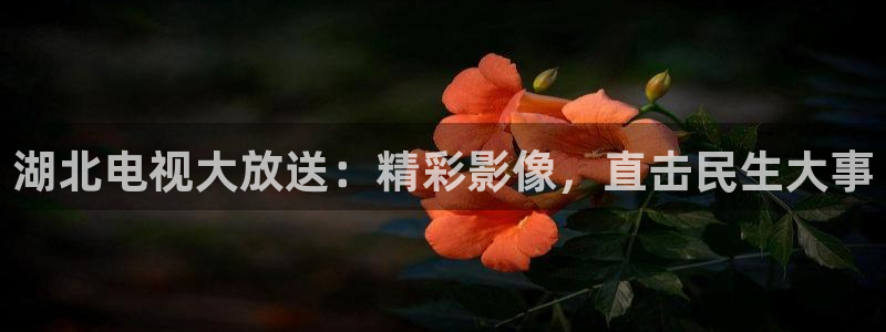丝瓜视视频