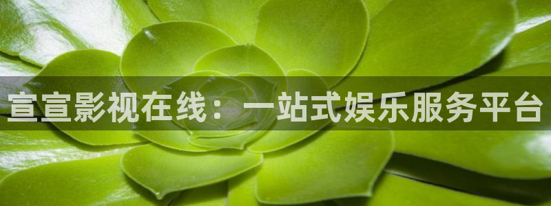 丝瓜视频在线高清观看