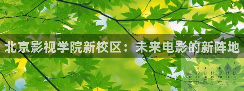 九一丝瓜视频