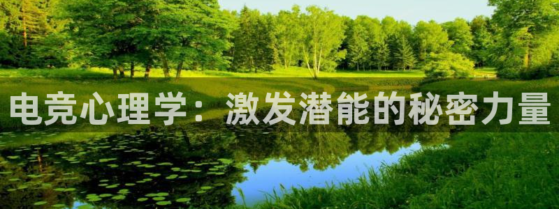 leyu电竞电竞怎么玩：电竞心理学：激发